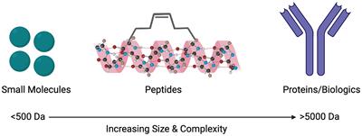 Probing GPCR Dimerization Using Peptides